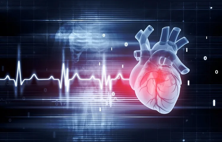 القلب والدماغ: العلاقة الخفية بين صحة القلب وتقلص الدماغ
